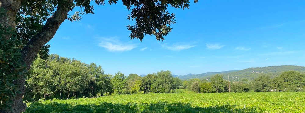 domainesaintanton